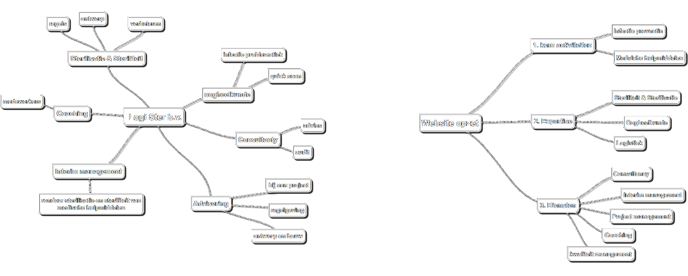 Brainstorm Logi Ster b.v.